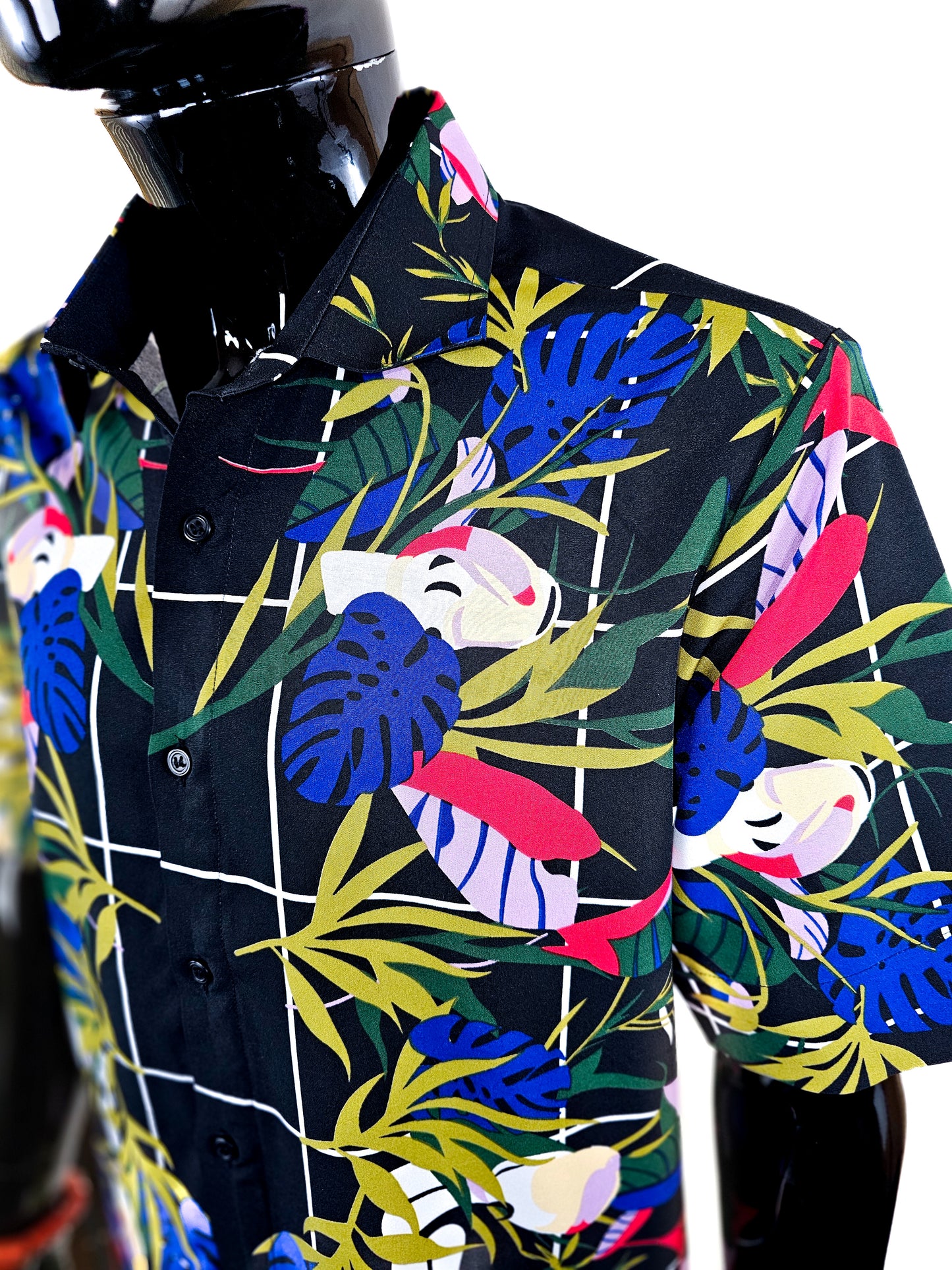 The Tropics (Top only)