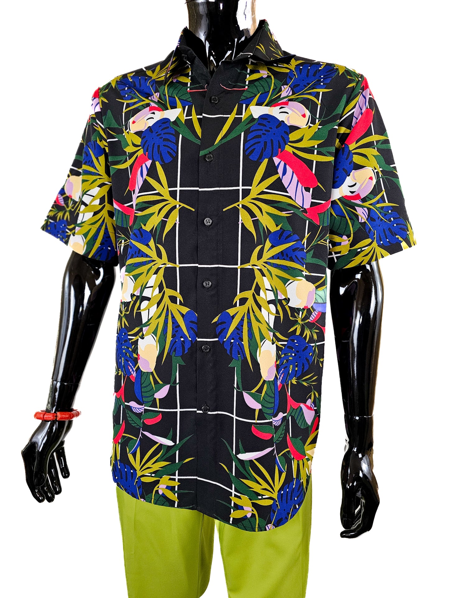 The Tropics (Top only)
