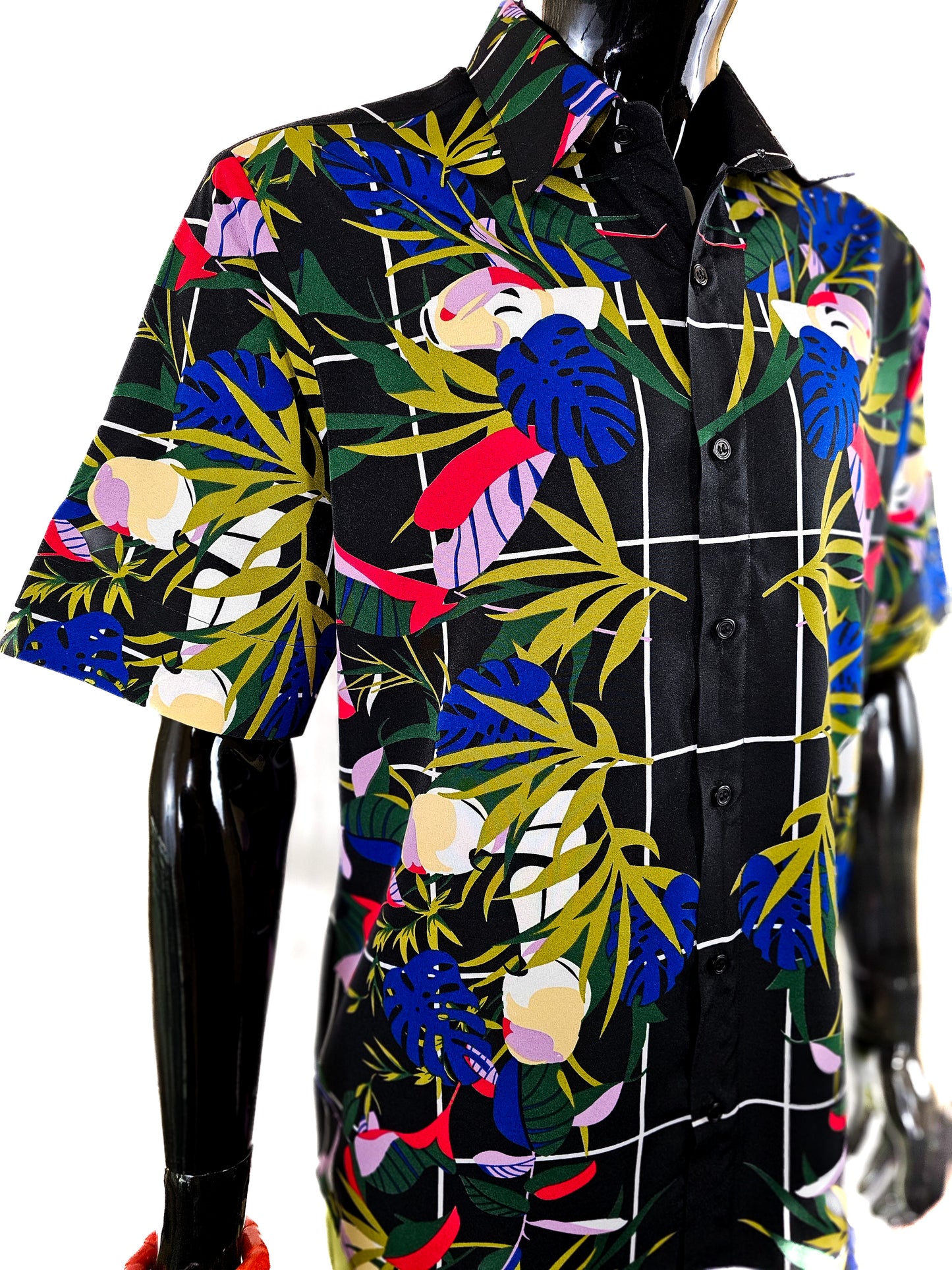 The Tropics (Top only)